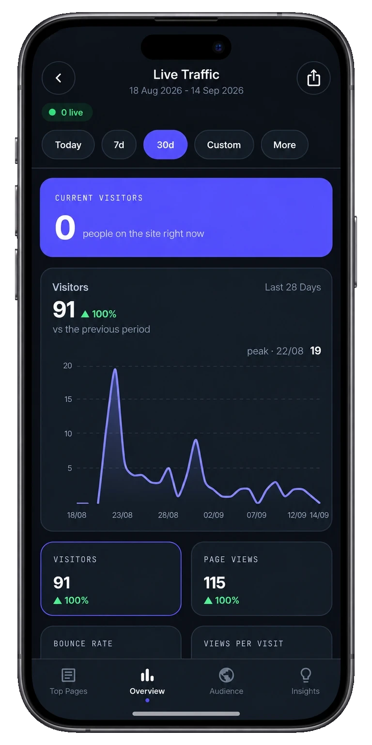 Tracksible live traffic with visitor chart and website statistics